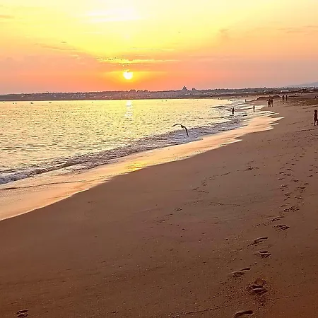 Estudio Puertorico Tropicana Lägenhet Albufeira