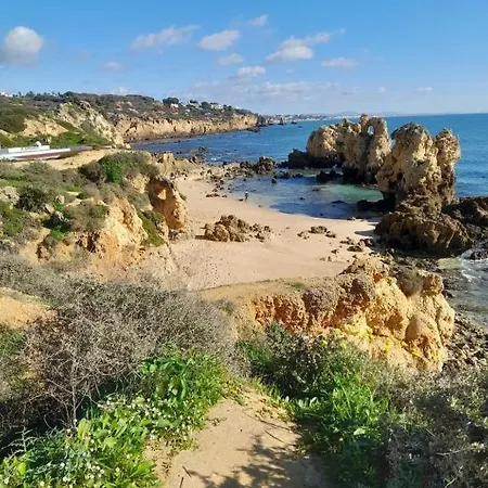 Estudio Puertorico T0 Em Gale Albufeira