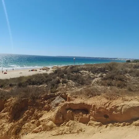 Estudio Puertorico Tropicana